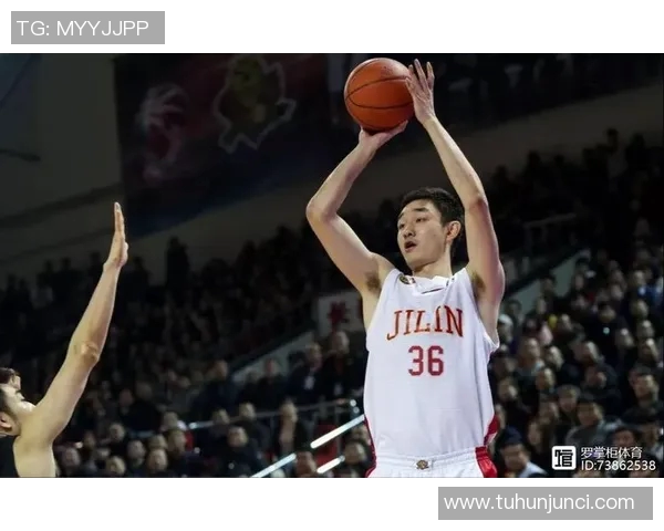 代怀博的成长之路与未来发展展望：从初创到行业领军的蜕变历程