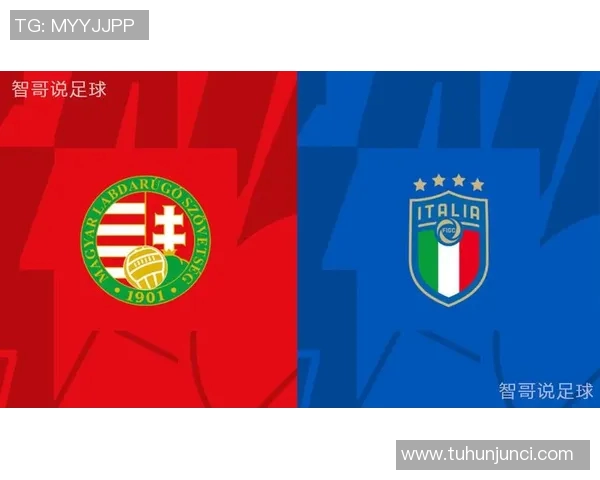 瑞士与匈牙利下半场精彩对决分析与战术解析 瑞士与匈牙利下半场精彩对决分析与战术解析