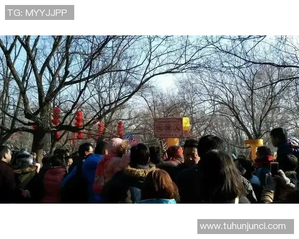 天安城与金海精彩对决直播全程回顾及赛后分析